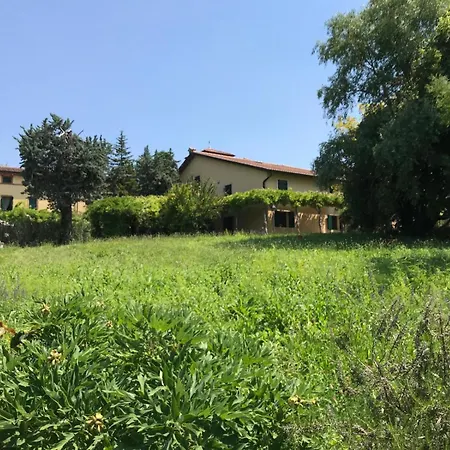In Valpolicella *